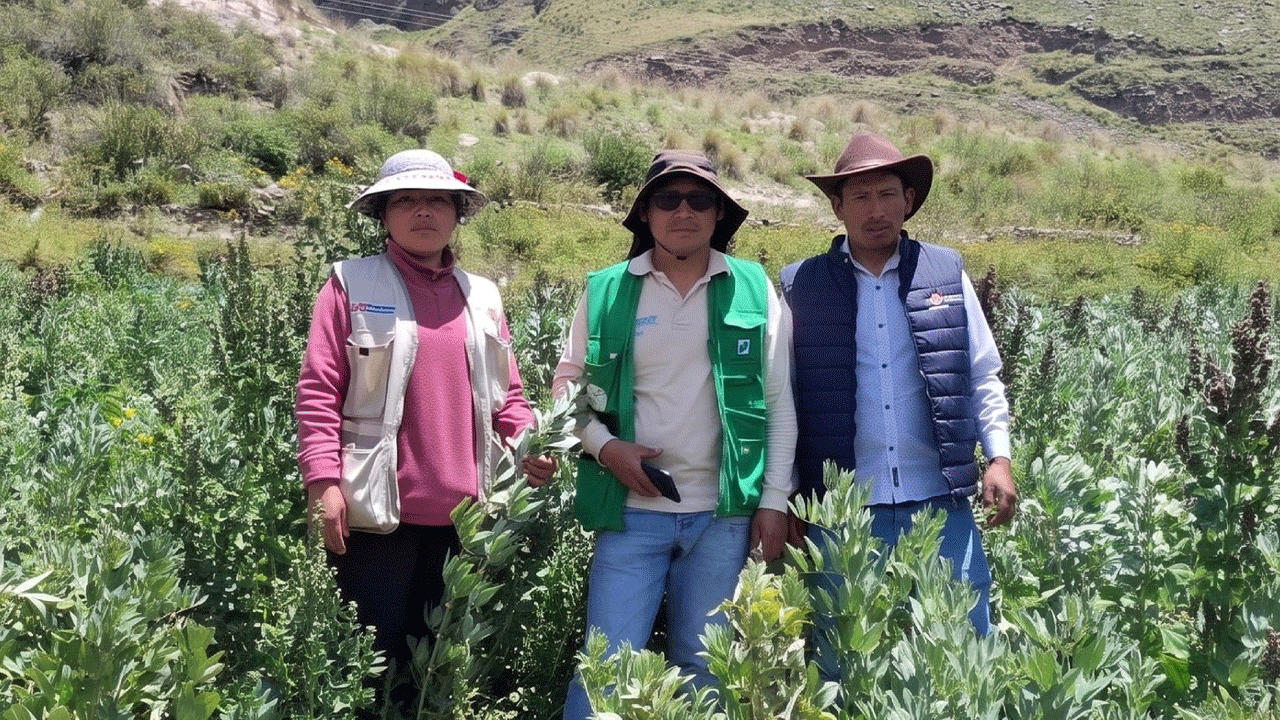 Seguro indemniza a 375 agricultores damnificados en Caylloma