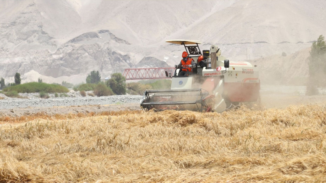 post-xl_38