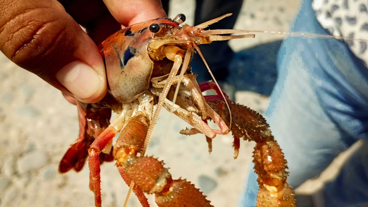 post-xl_38